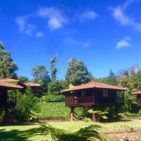 Quinta Das Eiras Santo Antonio da Serra Exterior foto