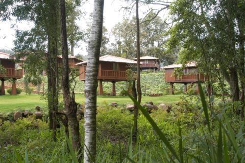 Quinta Das Eiras Santo Antonio da Serra Exterior foto