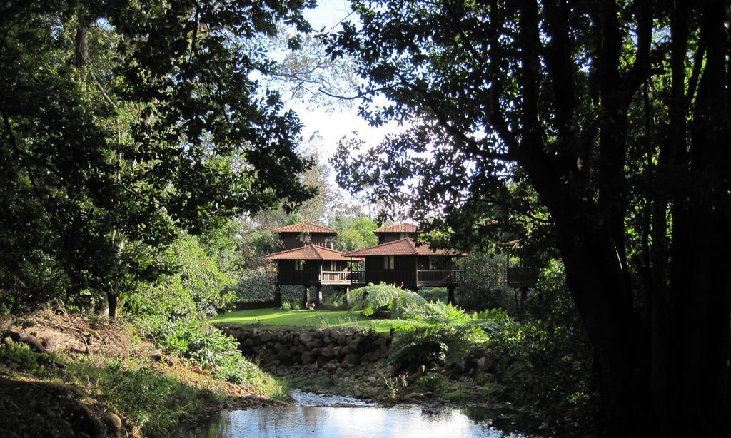 Quinta Das Eiras Santo Antonio da Serra Exterior foto