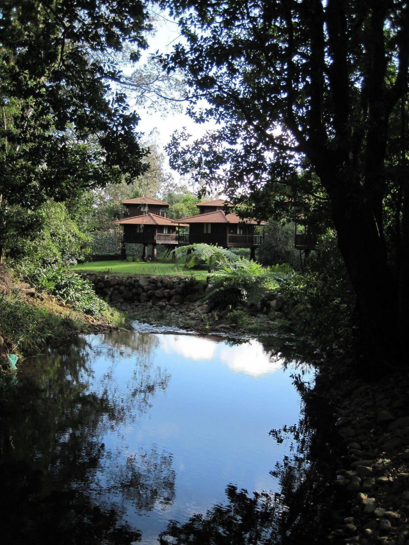 Quinta Das Eiras Santo Antonio da Serra Exterior foto