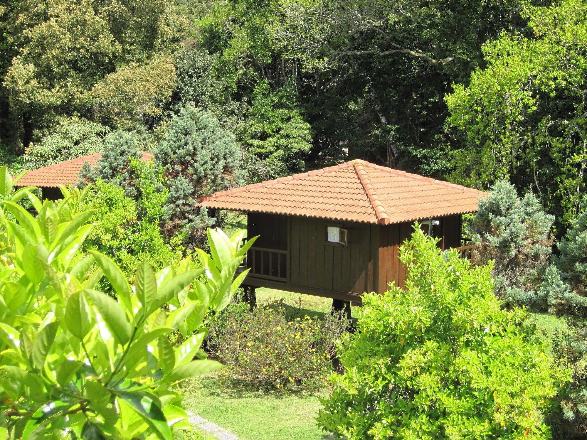 Quinta Das Eiras Santo Antonio da Serra Exterior foto